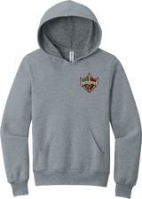 Delaware Ducks Youth Sponge Fleece Pullover Hoodie